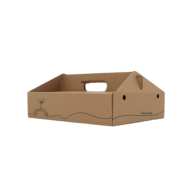 Kraft Carry Box Large (100pcs/ctn)