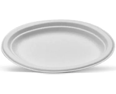 Sugarcane Oval Plate9 X6 (125pcs)