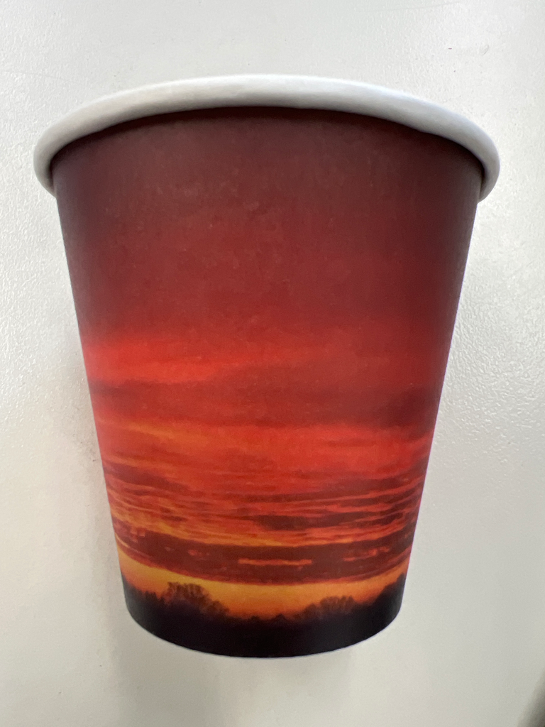 8oz Art Printed SW Coffee Cup (1000pcs/ctn)